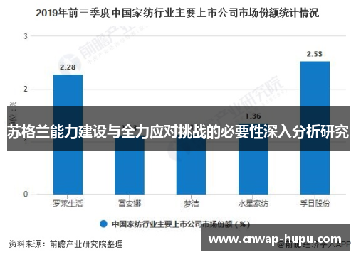 苏格兰能力建设与全力应对挑战的必要性深入分析研究