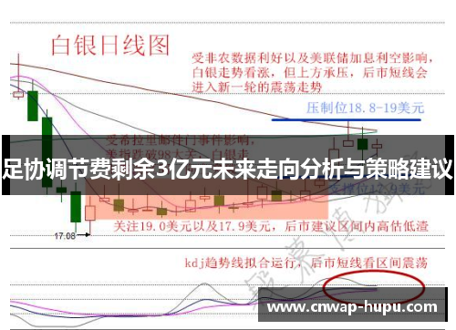 足协调节费剩余3亿元未来走向分析与策略建议