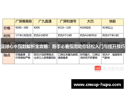 足球心水指数解析全攻略：新手必看指南助你轻松入门与提升技巧