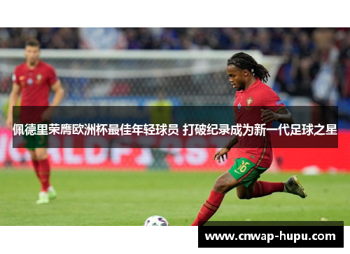 佩德里荣膺欧洲杯最佳年轻球员 打破纪录成为新一代足球之星