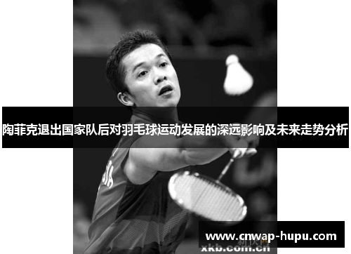 陶菲克退出国家队后对羽毛球运动发展的深远影响及未来走势分析