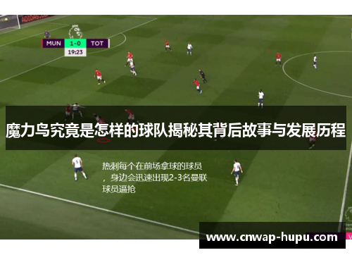 魔力鸟究竟是怎样的球队揭秘其背后故事与发展历程